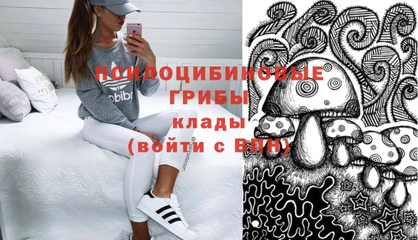 тгк Пролетарск